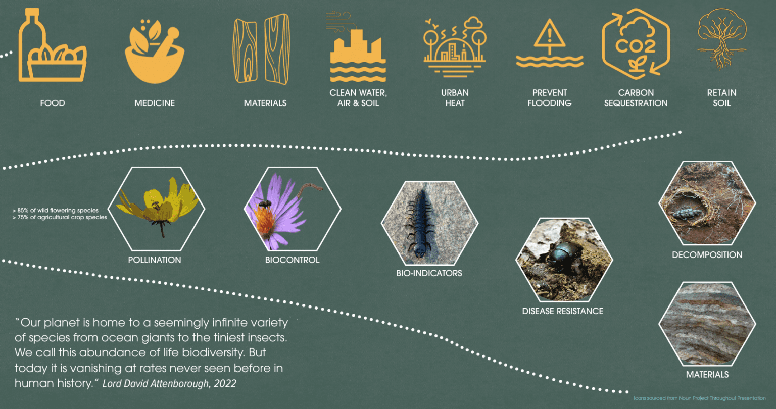 Species Extinction & The Environmental Justice Movement - NCEJN