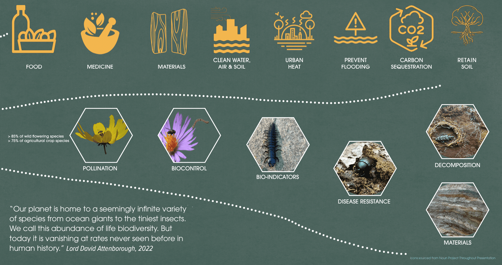 Species Extinction & The Environmental Justice Movement - NCEJN